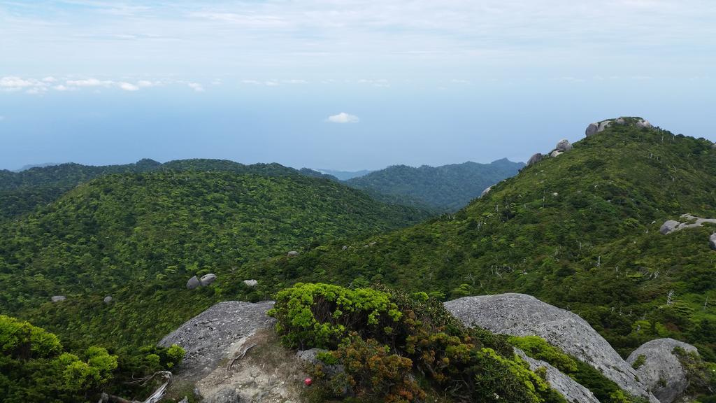 Minnsyuku Yakushimaya Yakushima  Exterior photo