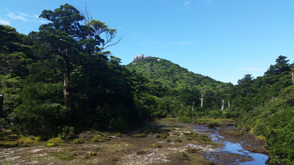Minnsyuku Yakushimaya Yakushima  Exterior photo